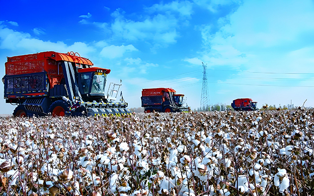 fDyPFcaj2 拷贝.jpg